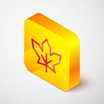 Isometric line Canadian maple leaf icon isolated on grey background. Canada s Stock Illustration