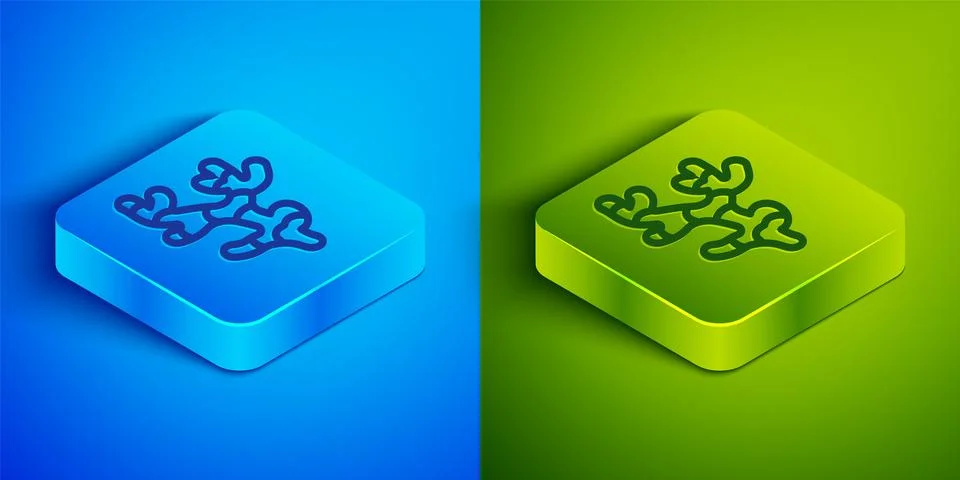 Isometric line Ginger root icon isolated on blue and green background. Square Stock Illustration