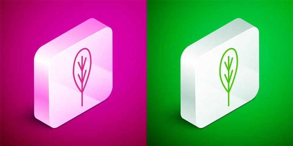 Isometric line Leaf icon isolated on pink and green background. Leaves sign Stock Illustration