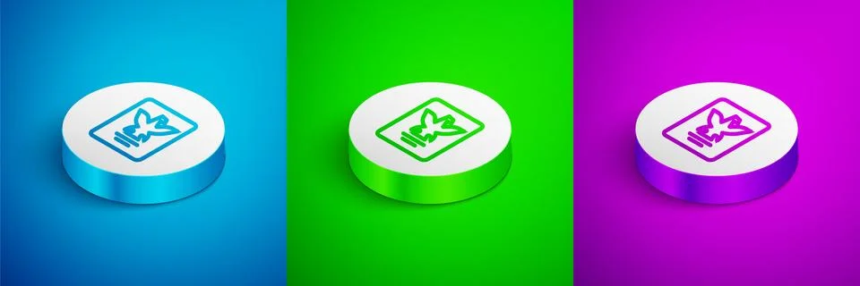 Isometric line Passport with biometric data icon isolated on blue, green and Stock Illustration