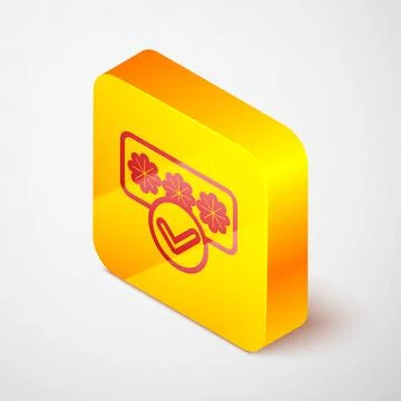 Isometric line Password protection and safety access icon isolated on grey Stock Illustration