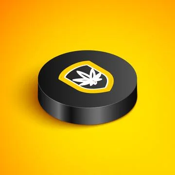 Isometric line Shield and marijuana or cannabis leaf icon isolated on yellow Stock Illustration