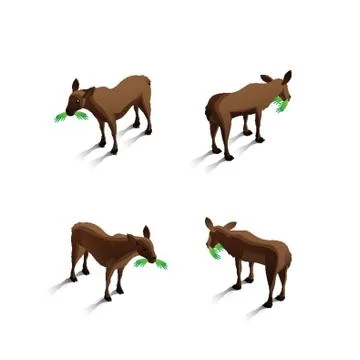 Isometric mules Stock-Illustration