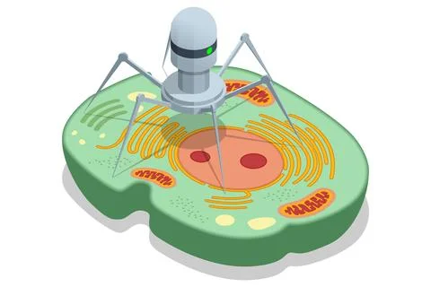 Isometric nanorobot is designed to interact with cellular structures. Repair Stock Illustration