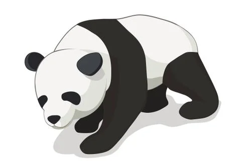 Isometric panda bear vector illustration with white background. Stock Illustration