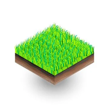The isometric piece of soil with the grass Stock Illustration