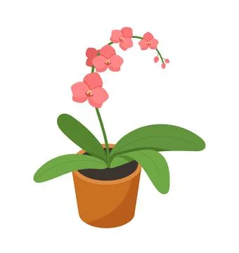 Isometric plant in flowerpot vector concept Stock Illustration