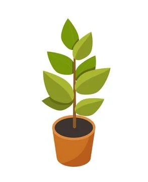 Isometric plant in flowerpot vector concept Stockillustratie