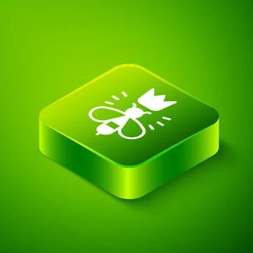 Isometric Queen bee icon isolated on green background. Sweet natural food Stock Illustration