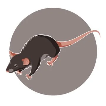 Isometric rat icon Stock Illustration