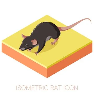 Isometric rat icon on a square ground Stock Illustration