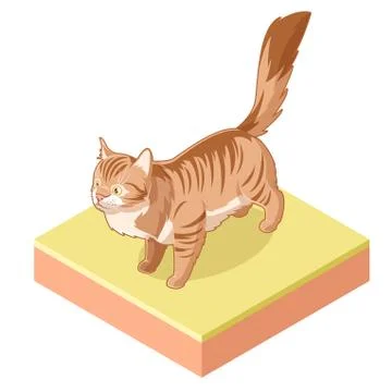 Isometric standing cat icon Stock Illustration