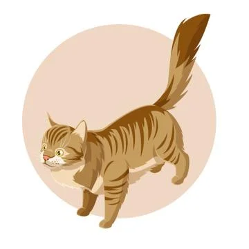 Isometric standing cat icon Stock Illustration