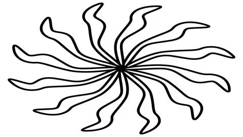 Isometric sun or flower shape outline isolated on white. Circular shape Stock-Illustration