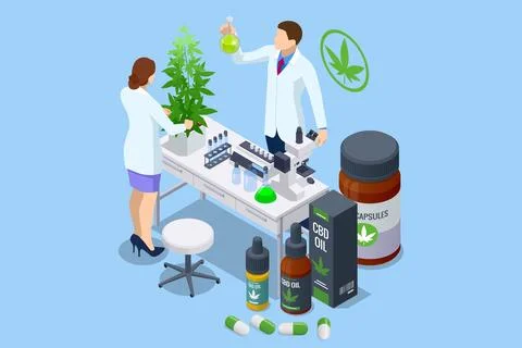 Isometric testing cannabis buds for the extraction of medicinal oil. Herbal イラスト素材