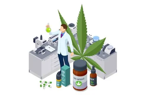 Isometric testing cannabis buds for the extraction of medicinal oil. Herbal イラスト素材