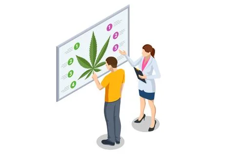 Isometric testing cannabis buds for the extraction of medicinal oil. Herbal Stock Illustration