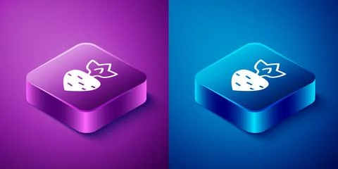 Isometric Turnip icon isolated on blue and purple background. Square button.. Stock Illustration