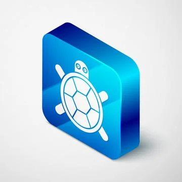 Isometric Turtle icon isolated on grey background. Blue square button. Vector. 스톡 일러스트