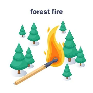 Isometric vector illustration isolated on white background, fir trees and a b Stock Illustration