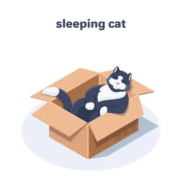 Isometric vector illustration on white background, cat sleeping in a cardboar Stock Illustration