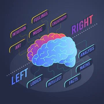 Isometric vector image on a black background, the brain is divided into left  Illustrazione stock