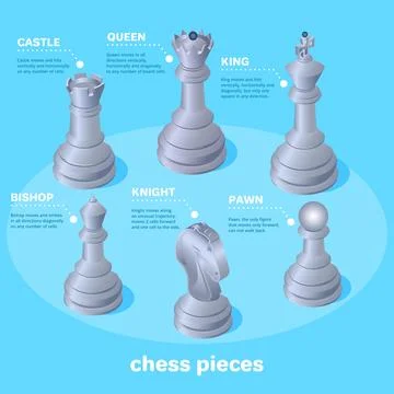 Isometric vector image on a blue background, chess pieces and their names, .. Stock Illustration