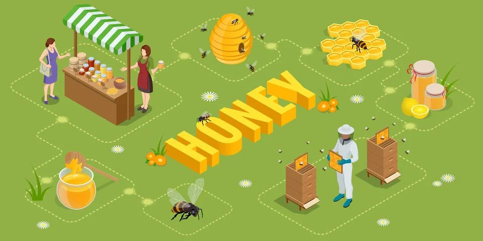 An isometric vector scene with a beekeeper inspecting a hive, honey jars on Stock Illustration