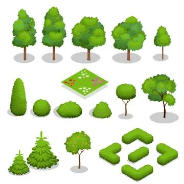 Isometric vector trees elements for landscape design. Stock Illustration