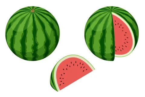 Isometric whole and half watermelon isolated on a white background. Summer sweet Stock Illustration