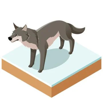 Isometric wolf icon with a square ground Stock Illustration