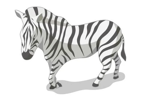 Isometric zebra vector illustration with white background. Stock Illustration