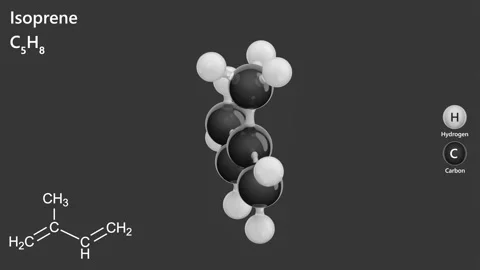 Isoprene (C5H8) . 3D render. Gray Back Stock Footage 286340228