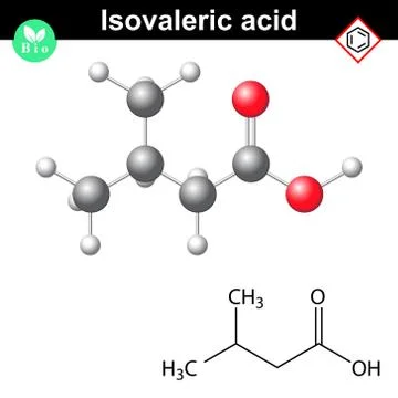 Isovaleric acid molecule Stock Illustration