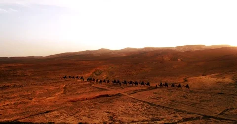 Israel Aerial drone of Middle Eastern camel owners in desert convoy tourism 库存影片 79076065