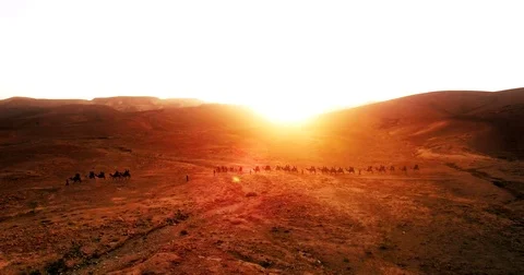 Israel Aerial drone of Middle Eastern camel owners in desert convoy tourism 库存影片 79076110