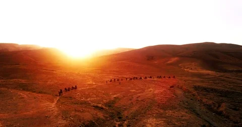Israel Aerial drone of Middle Eastern camel owners in desert convoy tourism Vídeo Stock 79076142