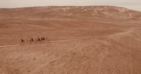 Israel Aerial drone of Middle Eastern camel owners in desert convoy tourism Stock Footage 79076728