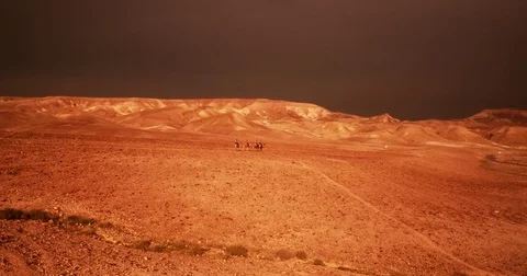 Israel Aerial drone of Middle Eastern camel owners in desert convoy tourism Stock Footage 79076882