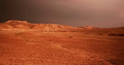 Israel Aerial drone of Middle Eastern camel owners in desert convoy tourism Stock Footage 79077012