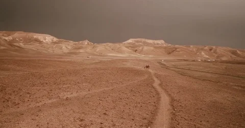 Israel Aerial drone of Middle Eastern camel owners in desert convoy tourism Stock Footage 79077053