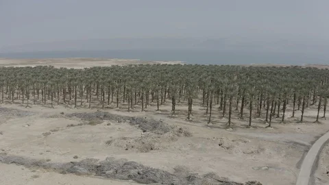 ISRAEL desert- 10-bit Dlog-M Color Profile Stock Footage 120351761