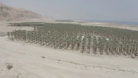 ISRAEL desert- 10-bit Dlog-M Color Profile Stock Footage 120351890