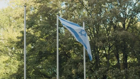 Israel flag before trees Stock Footage 253099724