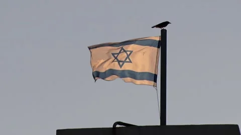 Israel Flag waving at sunset Stock Footage 43149022