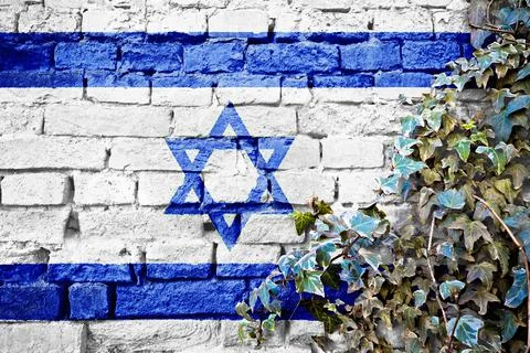Israel grunge flag on brick wall with ivy plant Stock Illustration