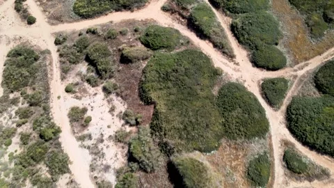 Israel. Hadera Stock Footage 272289660