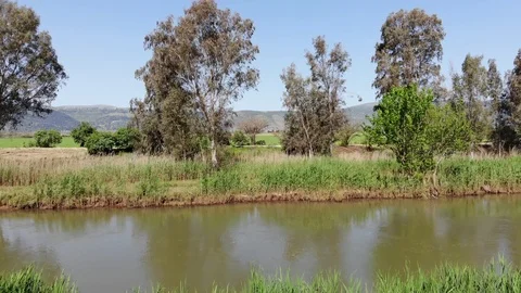 Israel Hula valley Stock Footage 124200860
