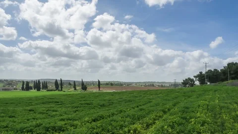Israel landscape timelapse, clouds moving over green field Video stock 101790200