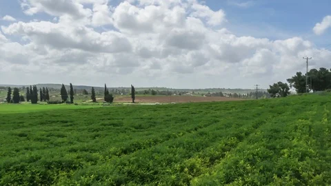 Israel landscape timelapse, clouds moving over green field Video stock 101807431